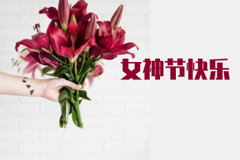 春風十里不如你——海博女神們：節(jié)日快樂！